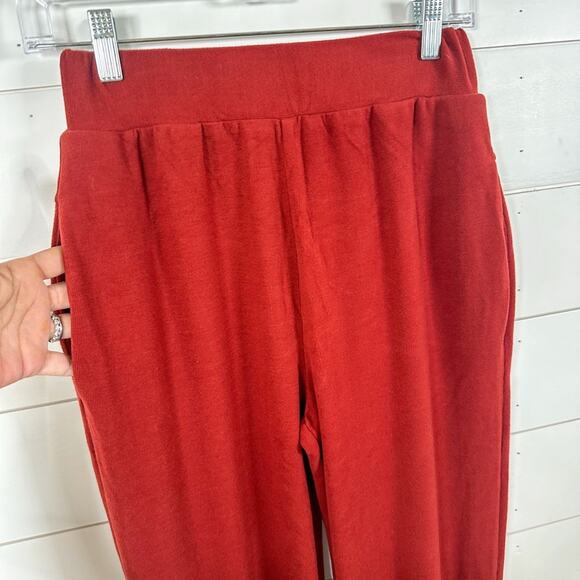 NEW with tags Walter Baker Devon Super Soft Garnet Jogger Pant, Small, MSRP $168 - Picture 6 of 13
